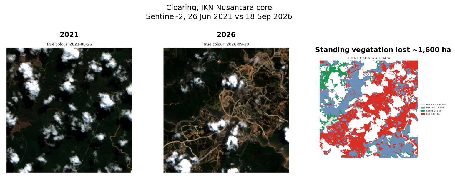 The Nusantara core area in true colour: dense forest in June 2021 and a road network and cleared land in September 2026. The map shows the vegetation lost.