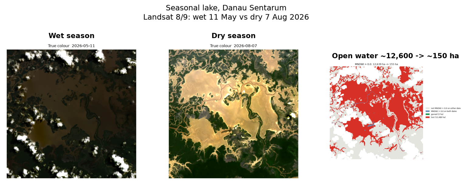 Danau Sentarum with Landsat: a dark wet-season lake on 11 May 2026 and pale exposed lake bed on 7 August 2026. The map shows the open water that disappeared.
