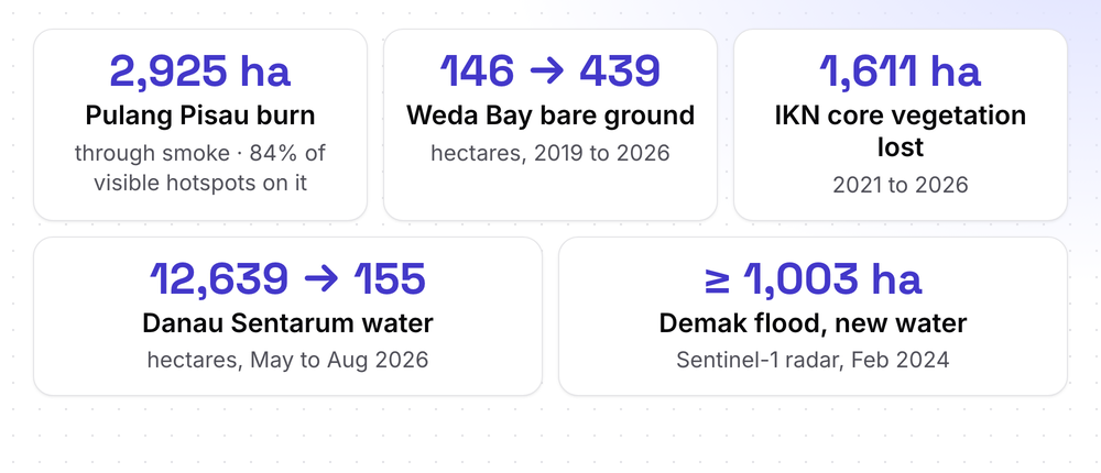 Five result cards: Pulang Pisau burn 2,925 ha, Weda Bay bare ground 146 to 439 ha, IKN core vegetation lost 1,611 ha, Danau Sentarum water 12,639 to 155 ha, Demak flood at least 1,003 ha of new water.